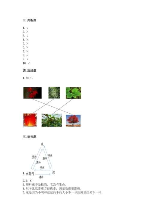 教科版一年级上册科学期末测试卷含完整答案【夺冠系列】.docx