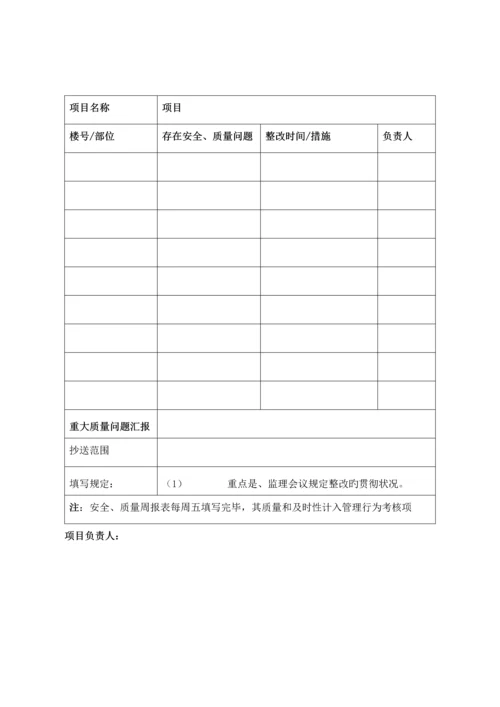 公司项目检查制度.docx