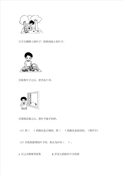 教科版科学一年级上册期末测试卷附参考答案巩固