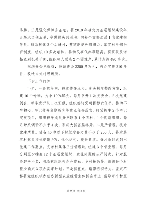 乡镇某年度抓基层党建工作述职报告范文.docx