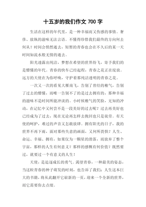 十五岁的我们作文700字.docx