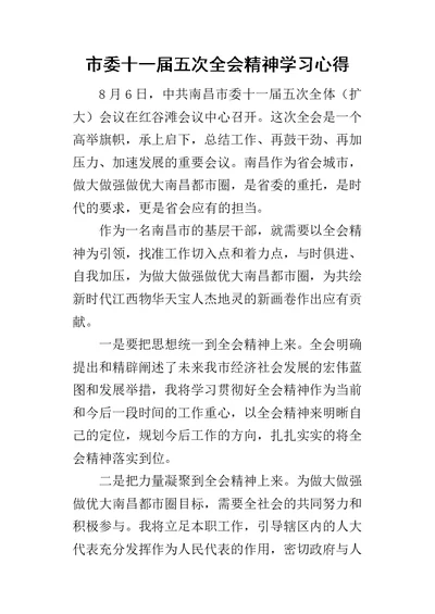 市委十一届五次全会精神学习心得