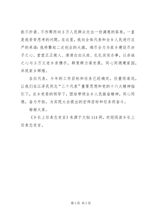 乡长上任表态讲话.docx