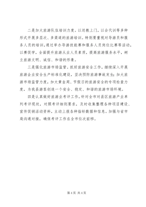 旅游局项目建设工作计划.docx