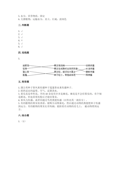 科学四年级下册第一单元植物的生长变化测试卷（实用）.docx