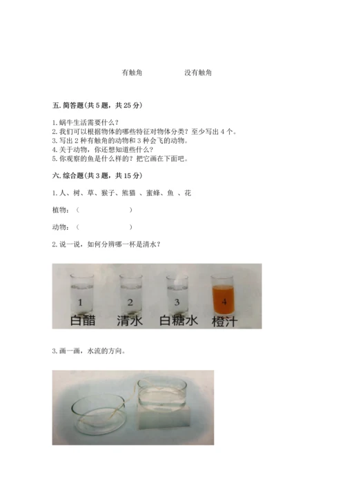 教科版一年级下册科学期末测试卷【a卷】.docx