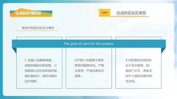 商务风格出走行为的防范与护理医务人员培训PPT