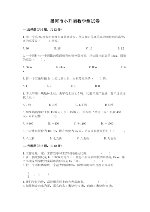 黑河市小升初数学测试卷a4版.docx