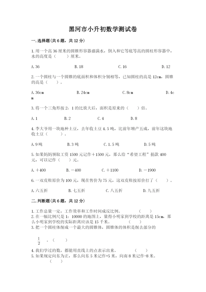 黑河市小升初数学测试卷a4版.docx