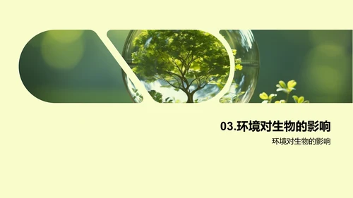 生物环境的协同演变