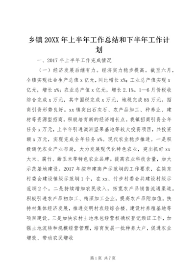 乡镇某年上半年工作总结和下半年工作计划.docx