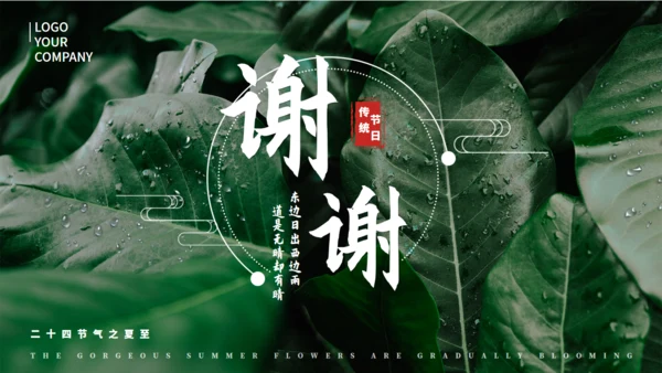 夏天的绿叶二十四节气夏至通用PPT模板