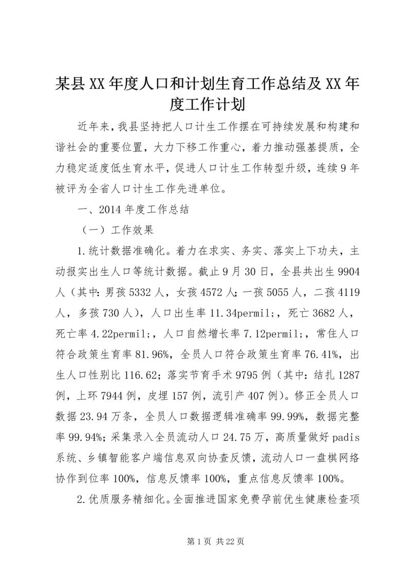 某县XX年度人口和计划生育工作总结及XX年度工作计划.docx