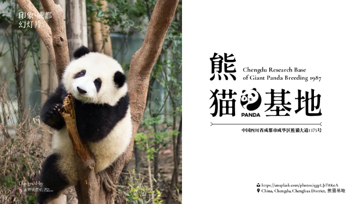 我的家乡印象成都城市宣传通用PPT模板