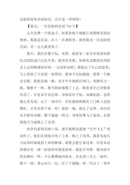 一次的尝试作文-1.docx