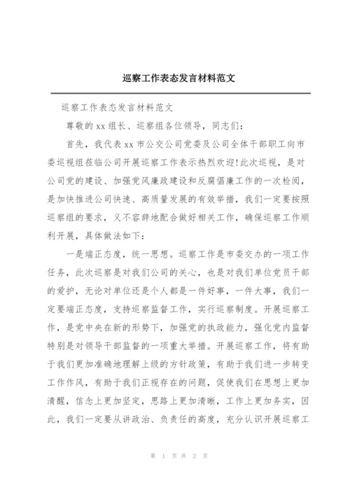 巡察工作表态发言材料范文.docx