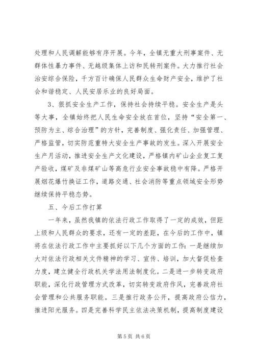乡镇年度依法行政工作总结.docx