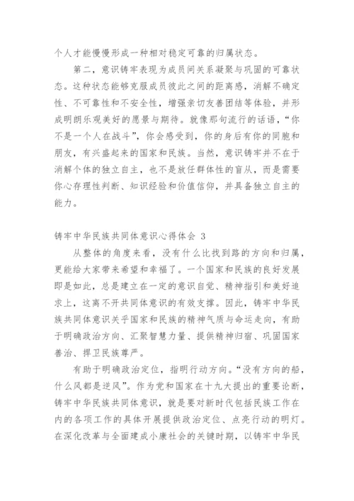 铸牢中华民族共同体意识心得体会范文.docx