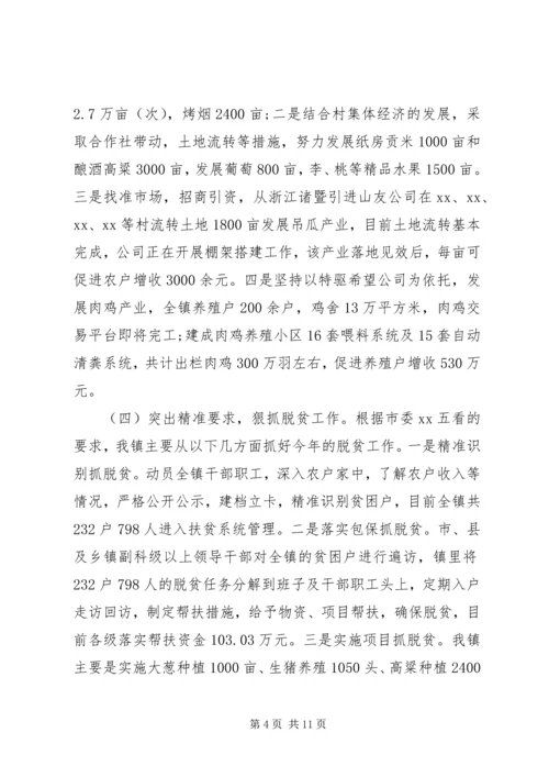 乡镇某年工作总结及某年工作计划.docx