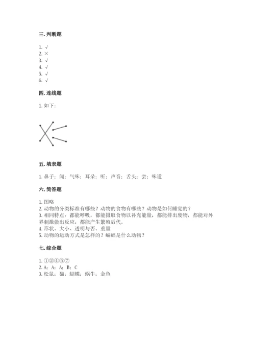 教科版小学科学一年级下册期末测试卷精品（全优）.docx