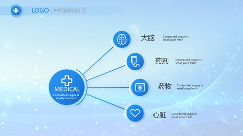 蓝色智慧医疗信息化建设工作总结PPT
