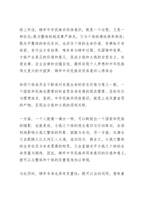 2021年铸牢中华民族共同体意识心得体会.docx