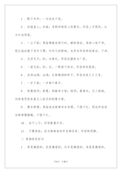 2022《青铜葵花》好词好句.docx