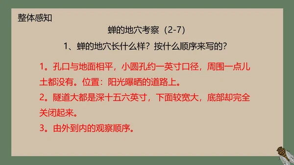 八年级下册蝉课件PPT模板