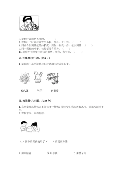 教科版一年级上册科学期末测试卷【各地真题】.docx