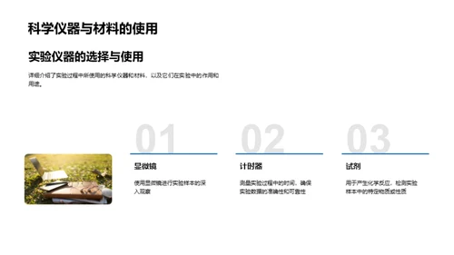 科学实验探索之旅