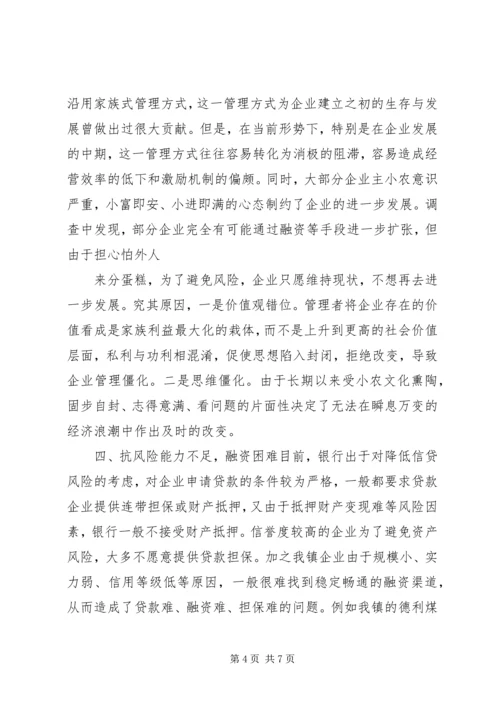 乡镇工业企业调研报告.docx