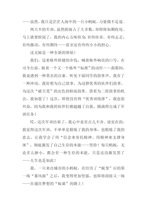 “蜕变”后的第一场“暴风雨”作文.docx