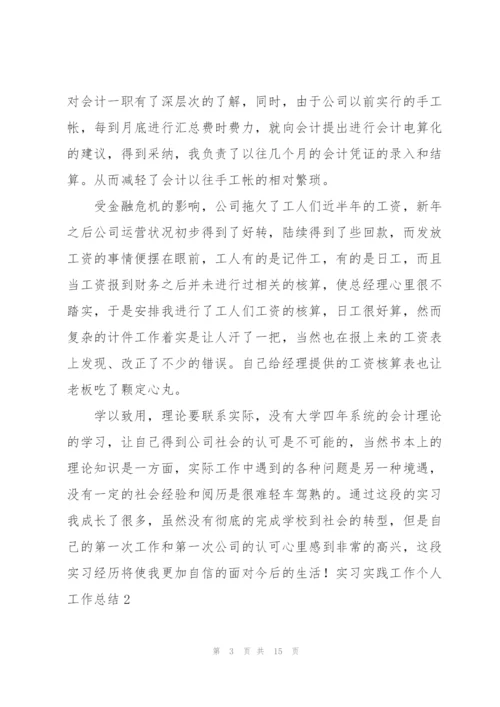 实习实践工作个人工作总结.docx