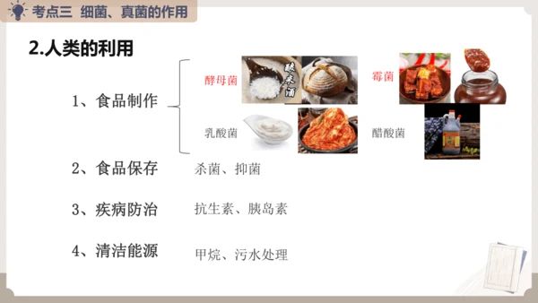 人教版生物八年级上册2.3 细菌、真菌和病毒 本章复习课件(共23张PPT)+视频素材