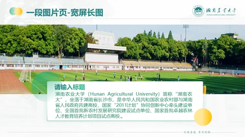 湖南农业大学毕业课题答辩通用PPT模板
