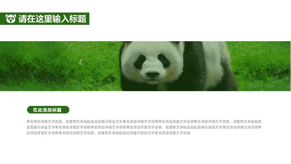 绿色实拍风保护大熊猫科普主题PPT模板