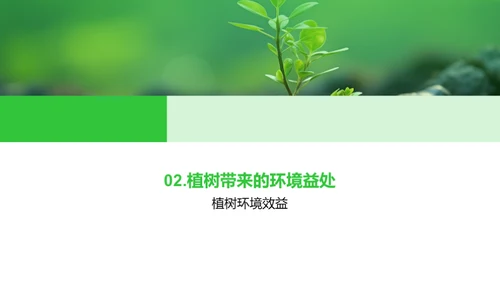 播种绿意 传承希望