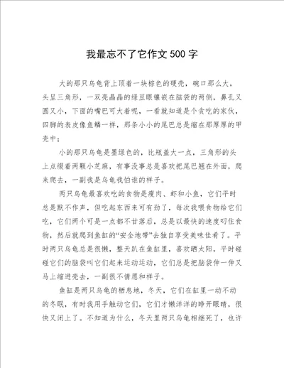 我最忘不了它作文500字