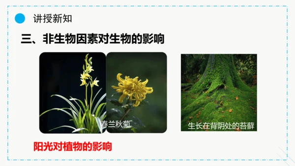 1.2.1生物与环境的关系课件2023--2024学年人教版生物七年级上册(共30张PPT)