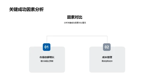 20XX年度业绩与策略解析