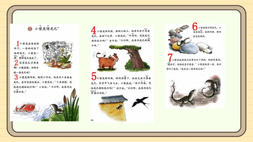 20 小壁虎借尾巴（课件）