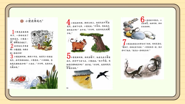 20 小壁虎借尾巴（课件）
