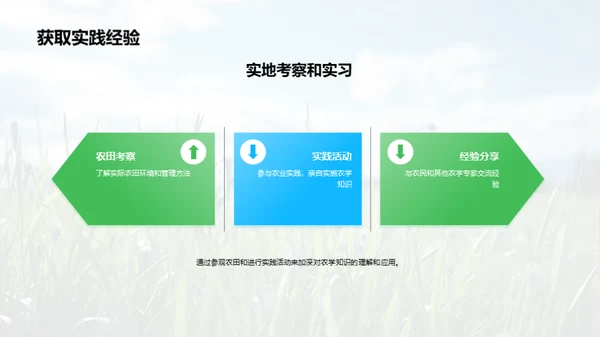 稻田科学种植