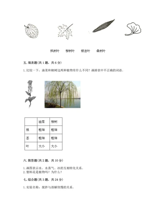 教科版科学一年级上册第一单元《植物》测试卷含答案（综合题）.docx