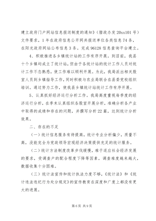 统计局工作总结和工作计划.docx