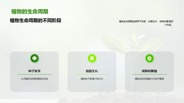 植物生长与环境因素