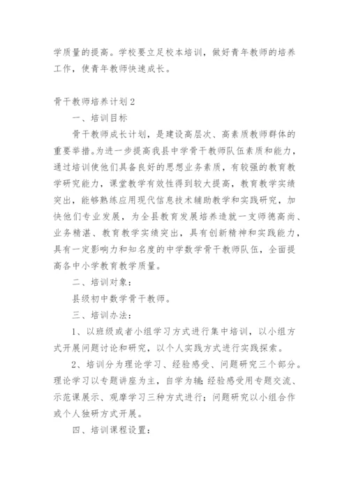 骨干教师培养计划.docx