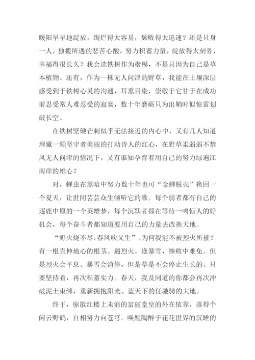 当红楼梦醒时分作文800字.docx