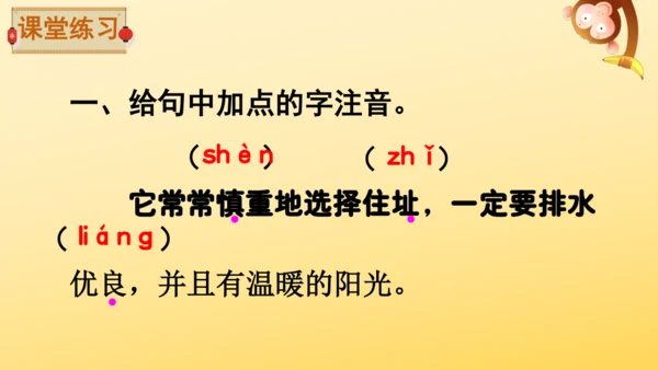 11 蟋蟀的住宅  课件