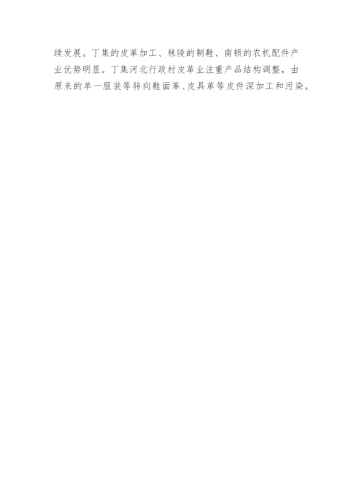 少数民族聚居村经济发展论文论文.docx